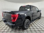 2023 F-150 Thumbnail 3