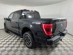 2023 F-150 Thumbnail 6