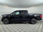 2023 F-150 Thumbnail 7