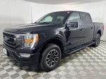 2023 F-150 Thumbnail 10