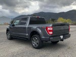 2023 F-150 Thumbnail 4