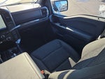 2023 F-150 Thumbnail 12