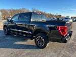 2023 F-150 Thumbnail 3