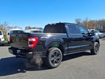 2023 F-150 Thumbnail 6
