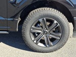2023 F-150 Thumbnail 8