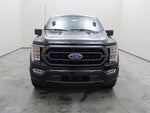 2023 F-150 Thumbnail 14