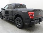 2023 F-150 Thumbnail 17