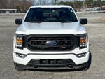 2023 F-150 Thumbnail 10