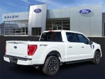 2023 F-150 Thumbnail 3