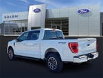 2023 F-150 Thumbnail 4