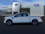 2023 F-150 Thumbnail 5