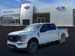 2023 F-150 Thumbnail 6