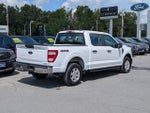 2023 F-150 Thumbnail 3
