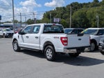 2023 F-150 Thumbnail 4