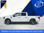 2023 F-150 Thumbnail 7