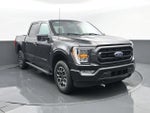 2023 F-150 Thumbnail 3