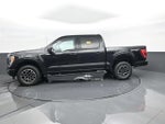 2023 F-150 Thumbnail 5