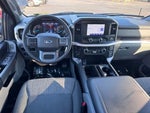 2023 F-150 Thumbnail 10