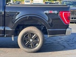 2023 F-150 Thumbnail 37