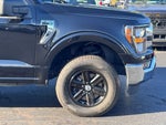 2023 F-150 Thumbnail 43