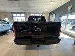 2023 F-150 Thumbnail 3