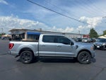 2023 F-150 Thumbnail 6