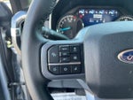 2023 F-150 Thumbnail 24