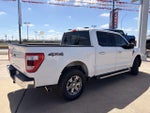 2023 F-150 Thumbnail 4