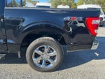2023 F-150 Thumbnail 8