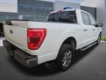 2023 F-150 Thumbnail 4