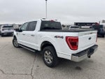 2023 F-150 Thumbnail 5