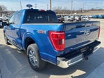 2023 F-150 Thumbnail 4