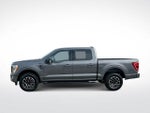 2023 F-150 Thumbnail 5
