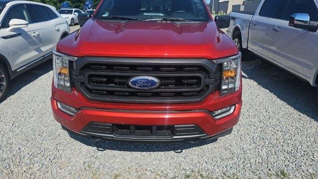Preowned 2023 Ford F-150 XLT for Sale