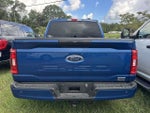 2023 F-150 Thumbnail 13