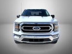 2023 F-150 Thumbnail 2