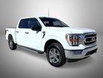2023 F-150 Thumbnail 3