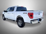 2023 F-150 Thumbnail 7