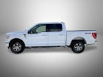 2023 F-150 Thumbnail 8