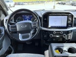 2023 F-150 Thumbnail 12