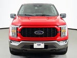 2023 F-150 Thumbnail 11