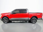 2023 F-150 Thumbnail 13
