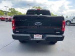2023 F-150 Thumbnail 5
