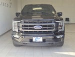 2023 F-150 Thumbnail 36