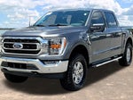 2023 F-150 Thumbnail 4