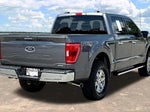 2023 F-150 Thumbnail 8