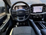 2023 F-150 Thumbnail 11
