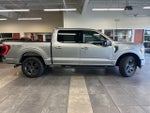 2023 F-150 Thumbnail 12