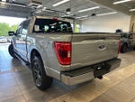 2023 F-150 Thumbnail 15