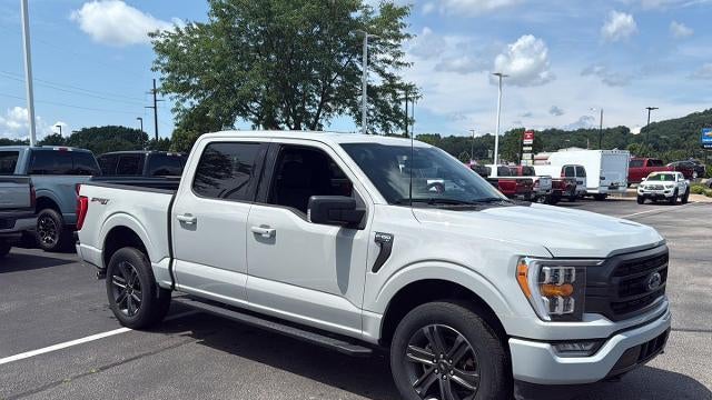 Preowned 2023 Ford F-150 XL for Sale